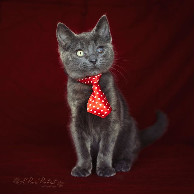 Photo of Humphrey + Barney