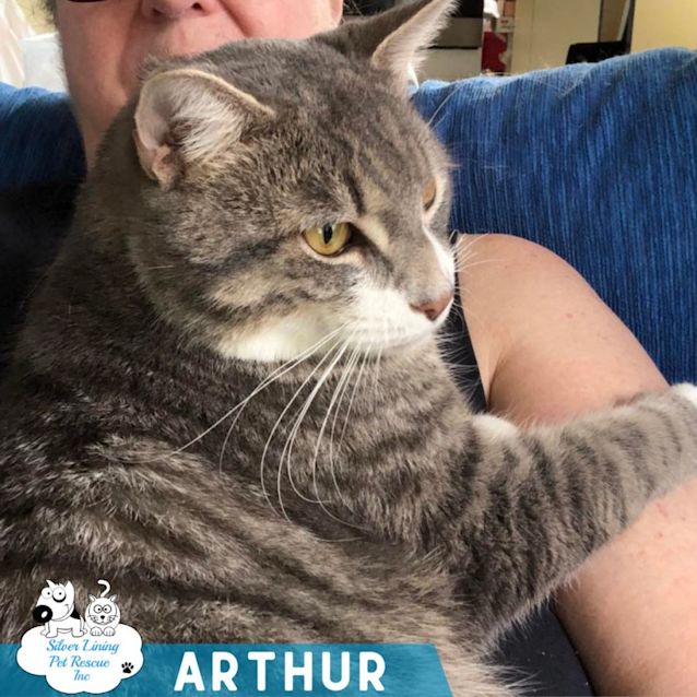 Photo of Arthur