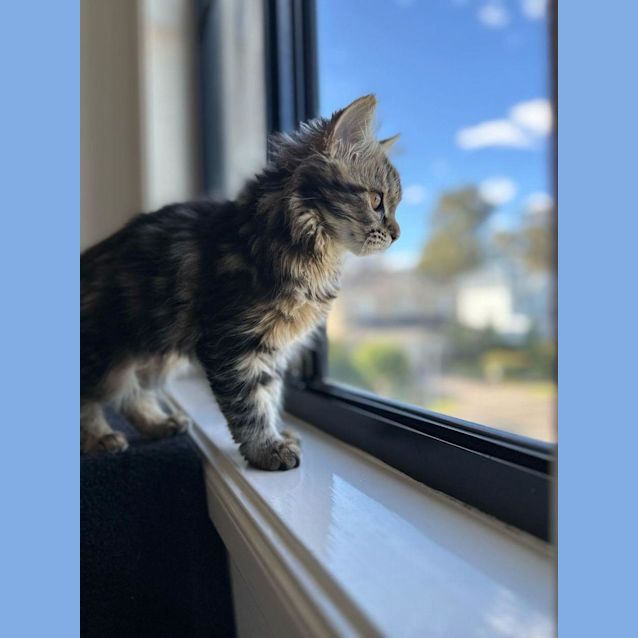 Photo of Frankie