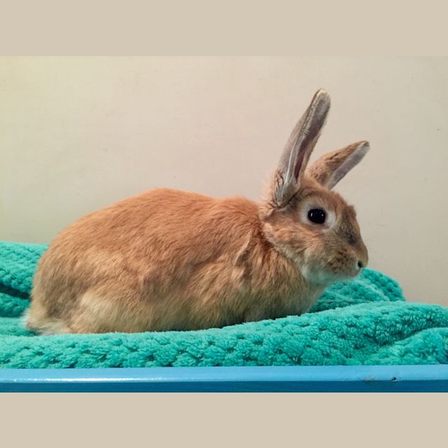 Photo of Cinnebun  See Her Video!