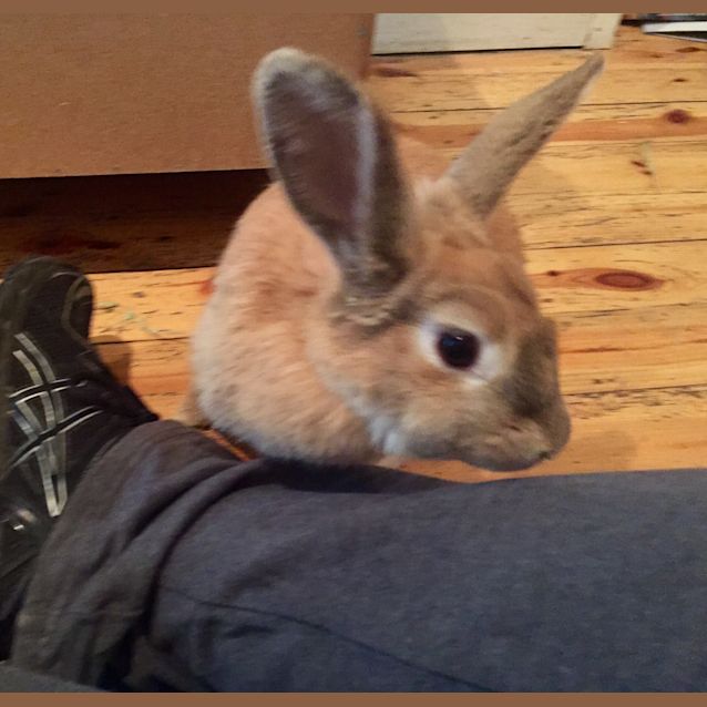 Photo of Cinnebun  See Her Video!