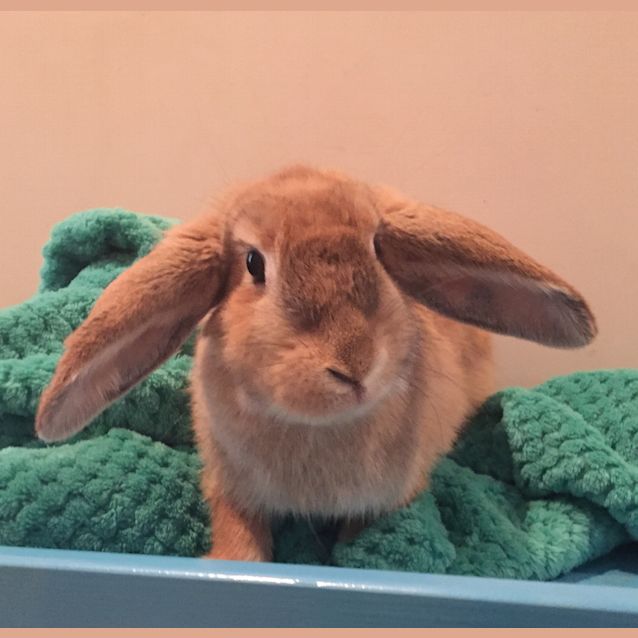 Photo of Cinnebun  See Her Video!