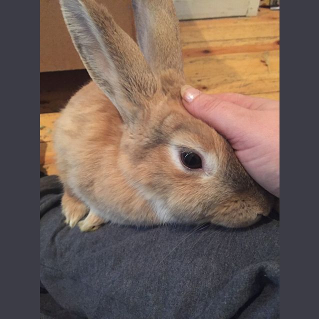 Photo of Cinnebun  See Her Video!
