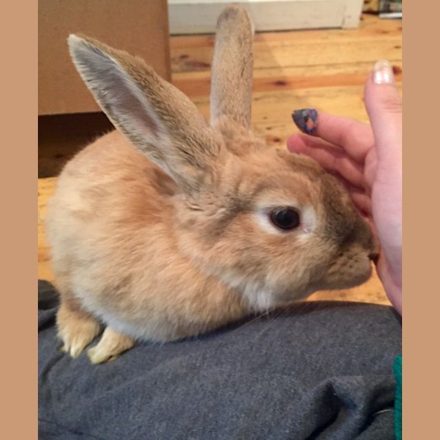 Photo of Cinnebun  See Her Video!