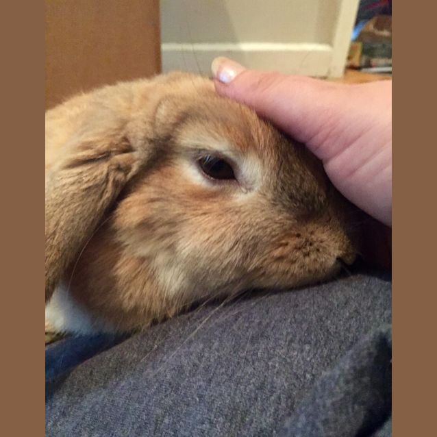 Photo of Cinnebun  See Her Video!