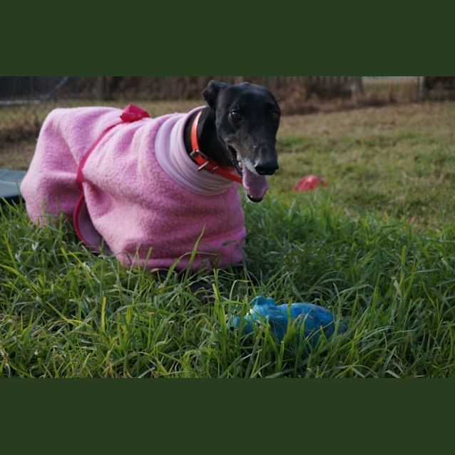 Photo of Diamond 