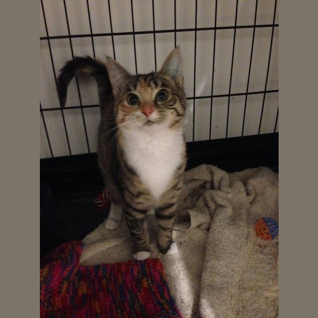 Photo of Luna