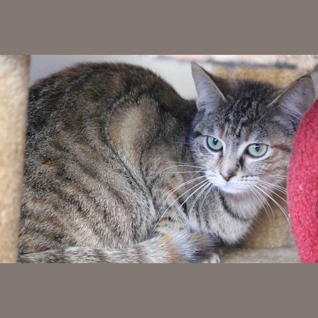 Photo of Josie