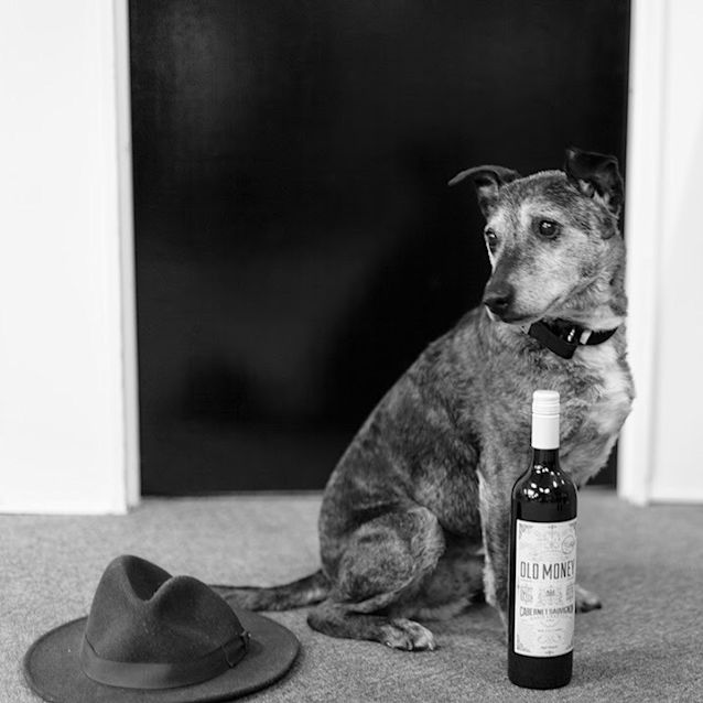 Photo of Jd   The Fine Wine Connoisseur 