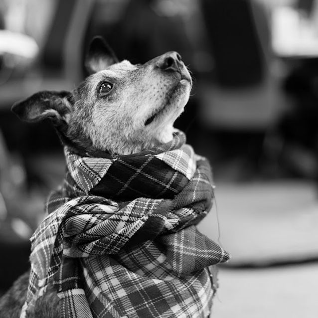 Photo of Jd   The Fine Wine Connoisseur 