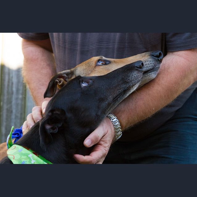 Photo of “Polly And Rupert”, A Love Story. Bris/Gold Coast