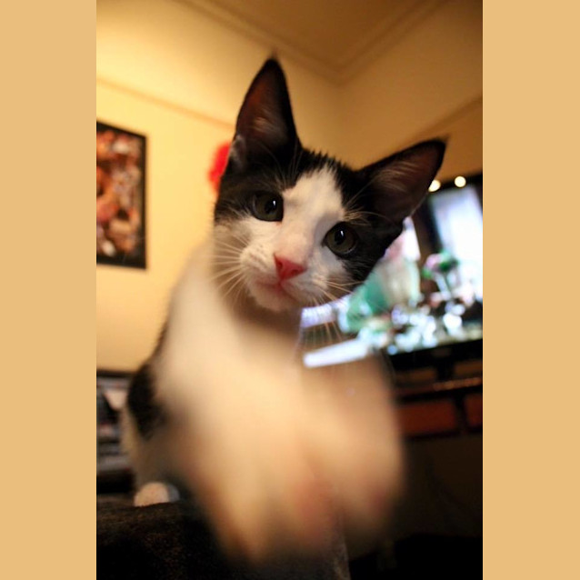 Photo of Abigail