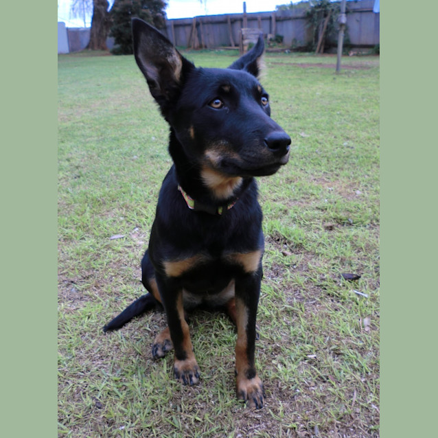 Photo of Celeste *On Trial In Her New Home*
