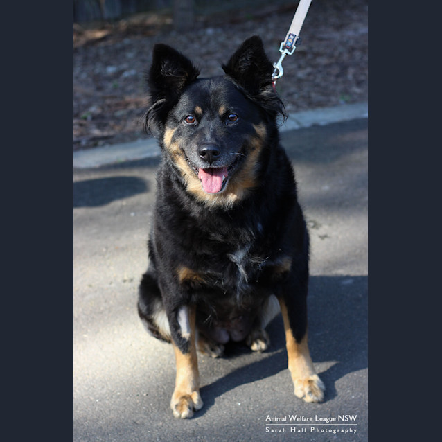 Photo of Honey