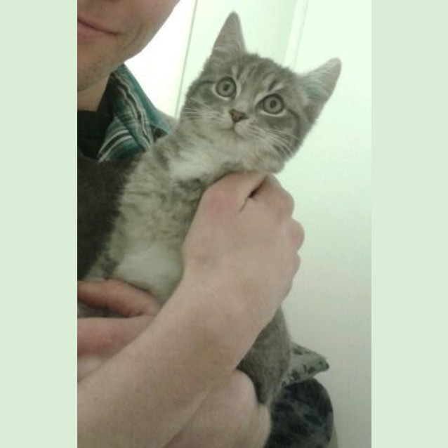 Photo of Bentley
