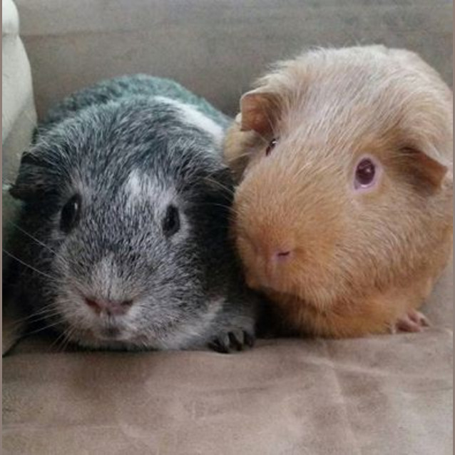 Photo of Kellie And Fidget