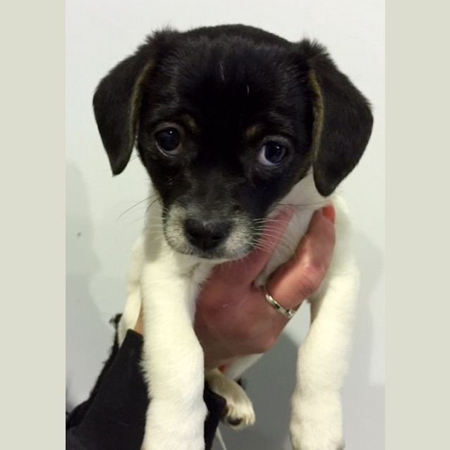 Photo of Sally @ Squawks Pet Store