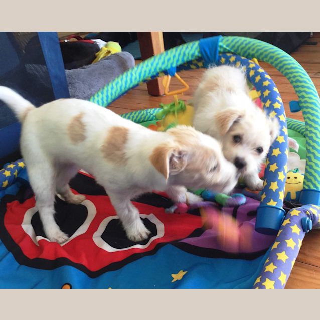 Photo of Ellis   Applications Closed