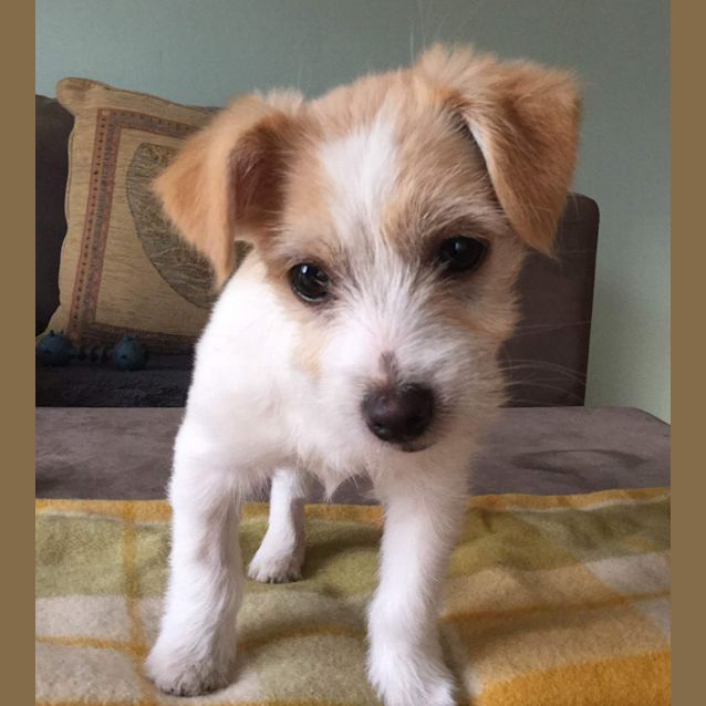 Photo of Ellis And Etta   Applications Closed