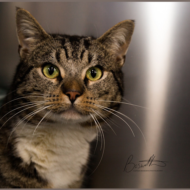 Photo of Bert