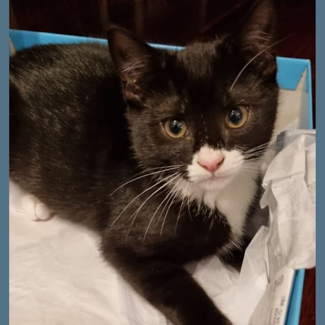 Photo of Scarlet & Joey