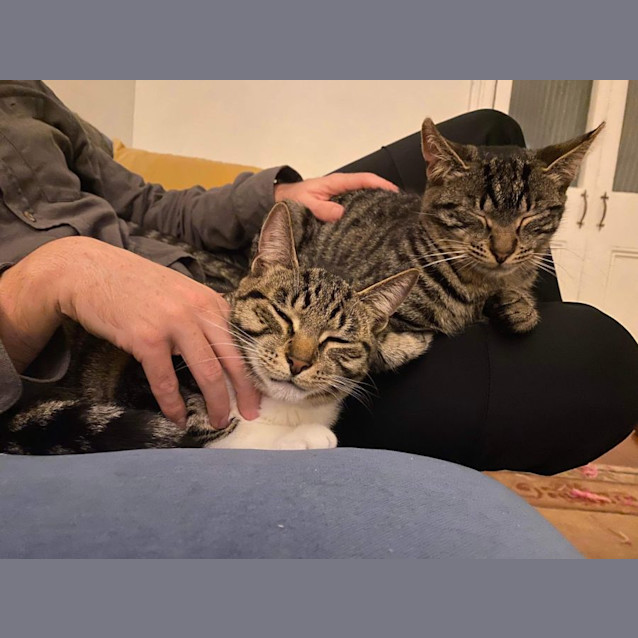 Photo of Happy & Kuma