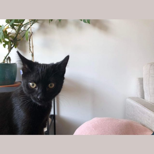 Photo of Maurizio   Located In Preston
