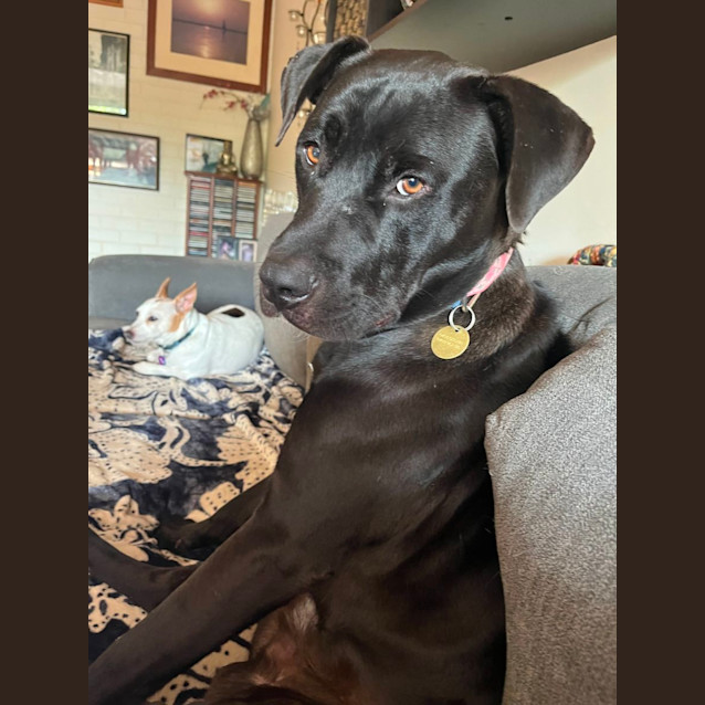 Photo of Razor