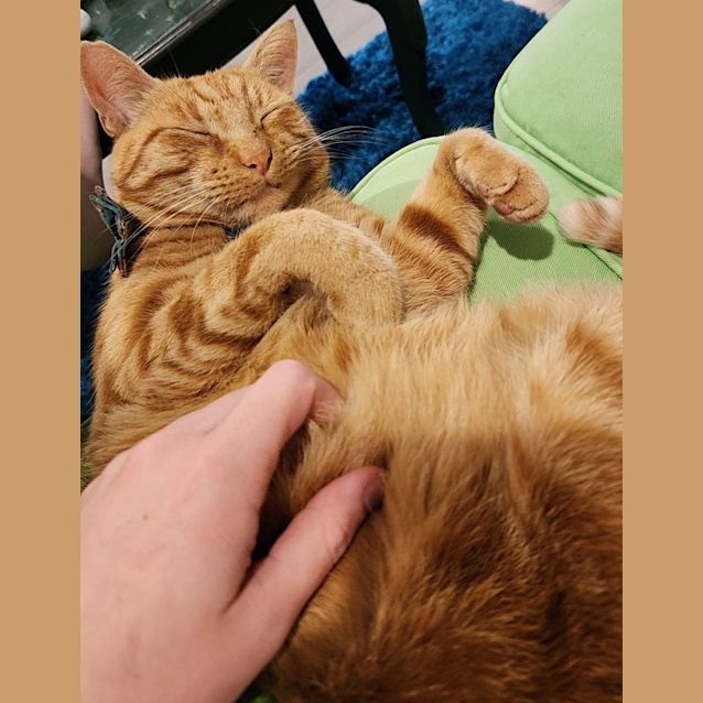 Photo of Chunky
