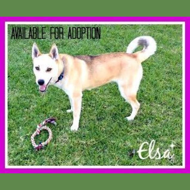 Photo of Elsa ~ On Trial 16/10/15