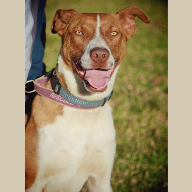 Photo of Leroy