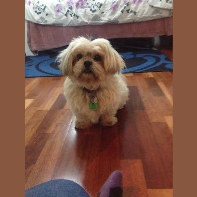 Photo of Maya Dl1103