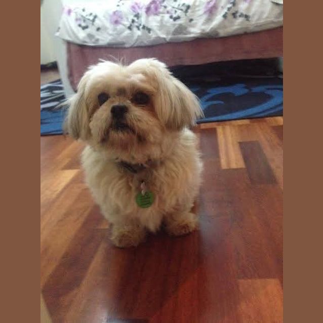 Photo of Maya Dl1103