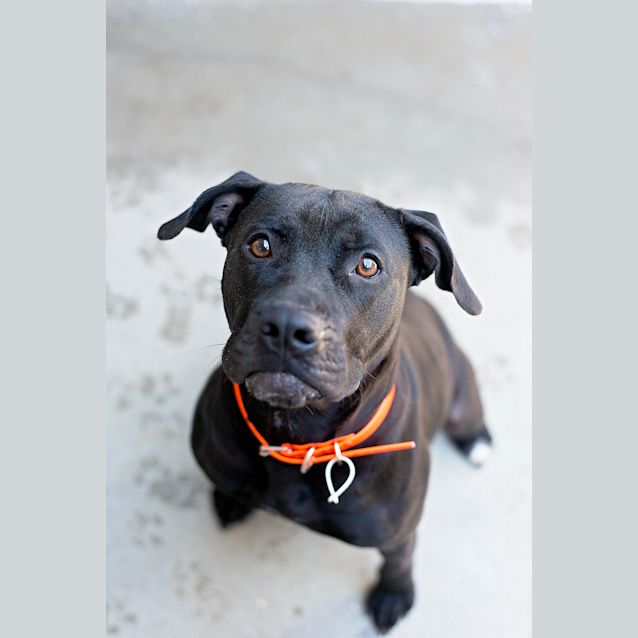 Photo of Penny