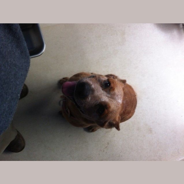 Photo of Lola