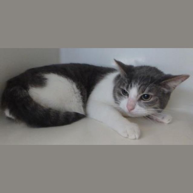 Photo of Xena