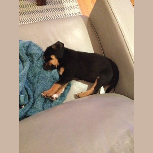 Photo of Ken