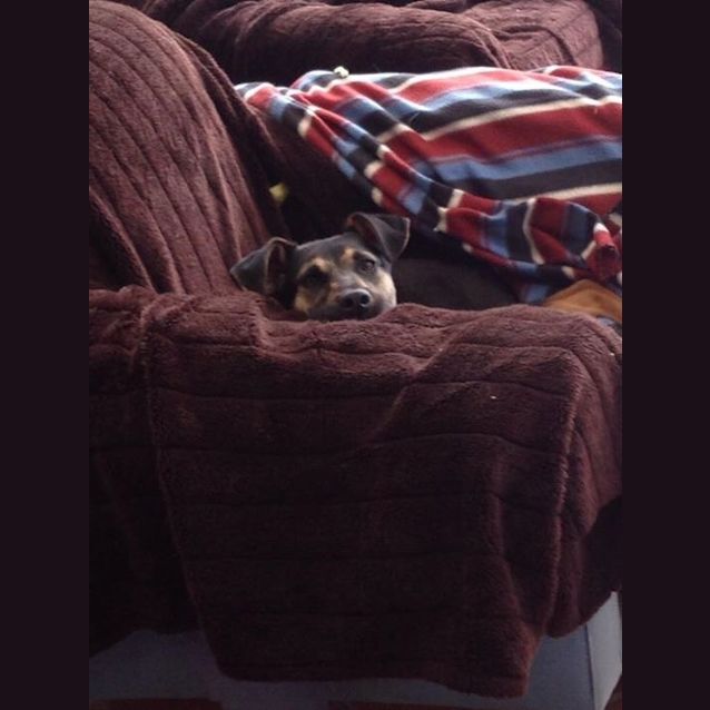 Photo of Precious Penny