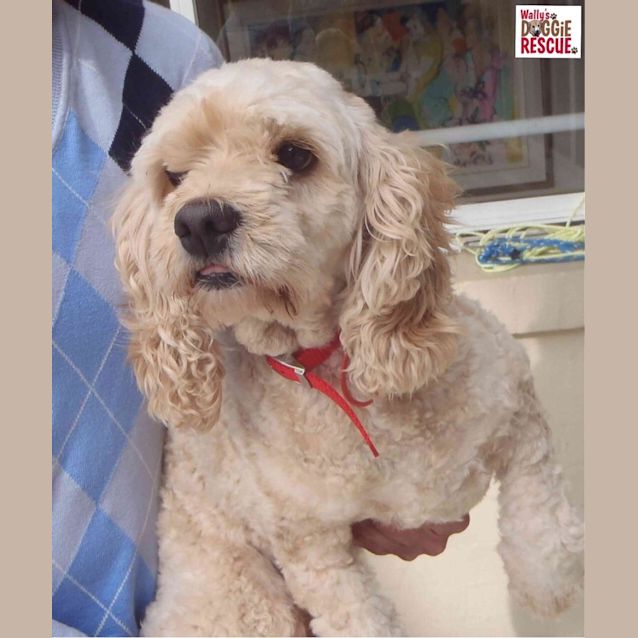 Photo of Tilly