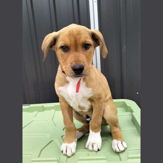 Photo of D873 Baxter