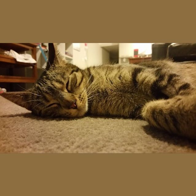 Photo of Melly