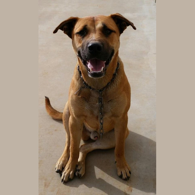 Photo of Junior