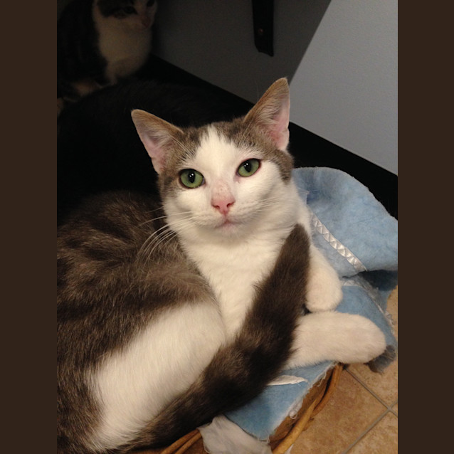 Photo of Storm