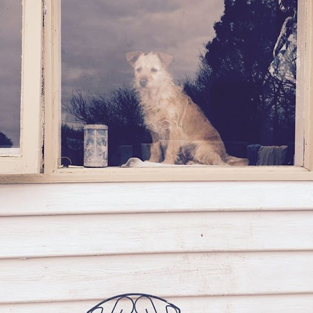 Photo of Heidi