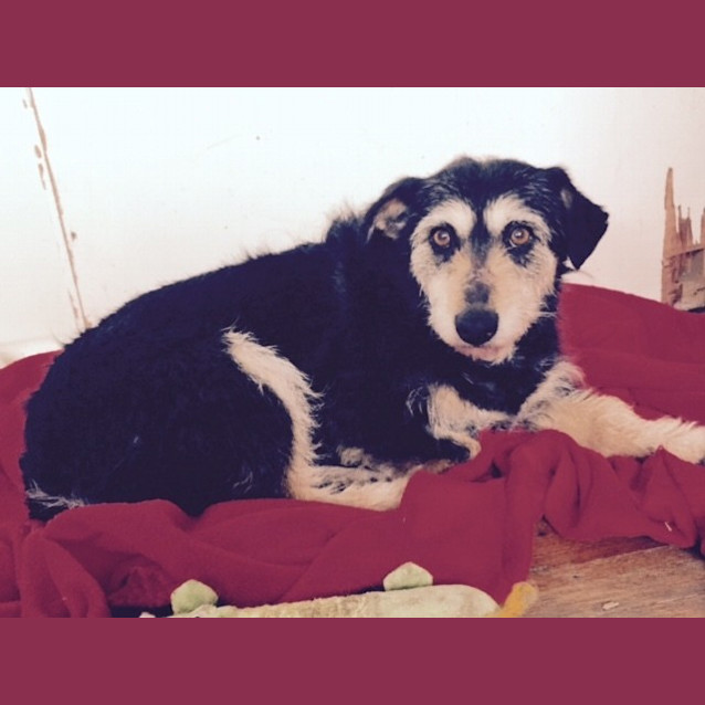 Photo of Bridie