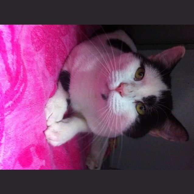 Photo of Dennis