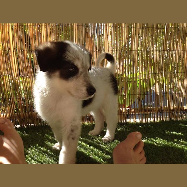 Photo of Maverick 