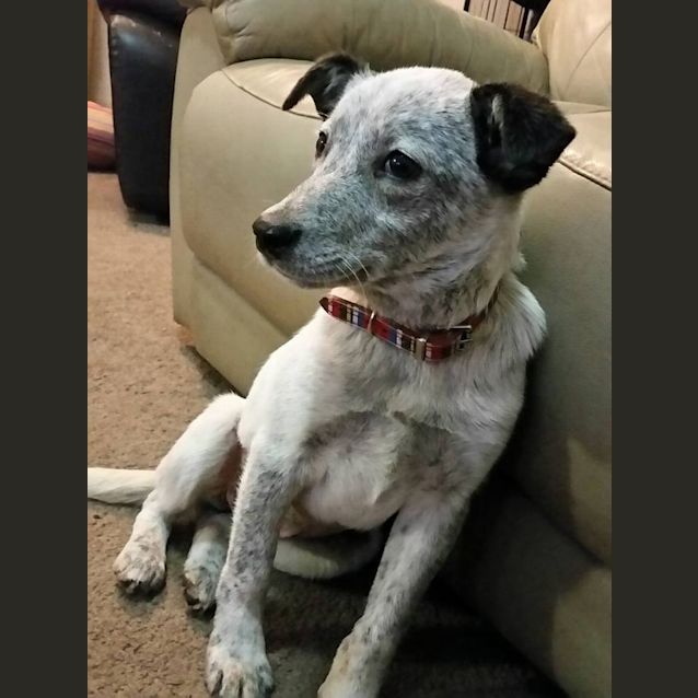Photo of Misty