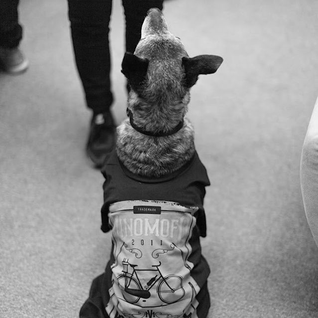 Photo of Jd   The Fine Wine Connoisseur 