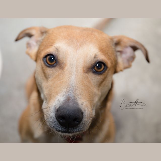Photo of Mimi